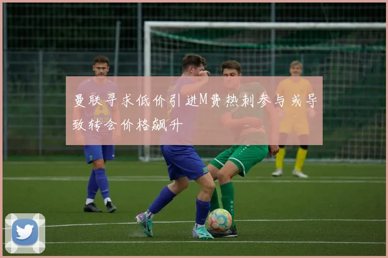 曼联寻求低价引进M费热刺参与或导致转会价格飙升